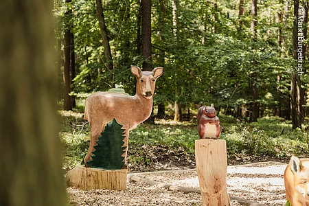 Walderlebnis (Burgebrach, Steigerwald)