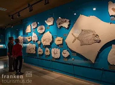 Fossilienausstellung im Bürgermeister-Müller-Museum (Solnhofen/Naturpark Altmühltal)