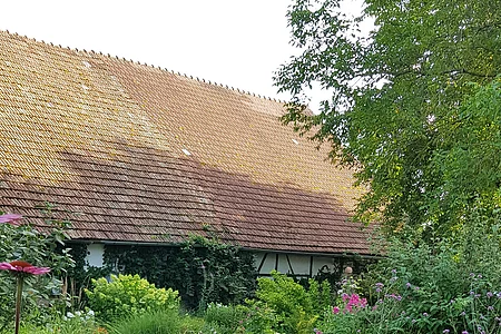 Landhausgarten Helbig (Schonungen, Fränkisches Weinland)