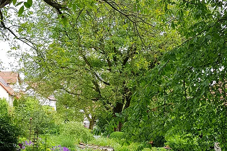 Landhausgarten Helbig (Schonungen, Fränkisches Weinland)