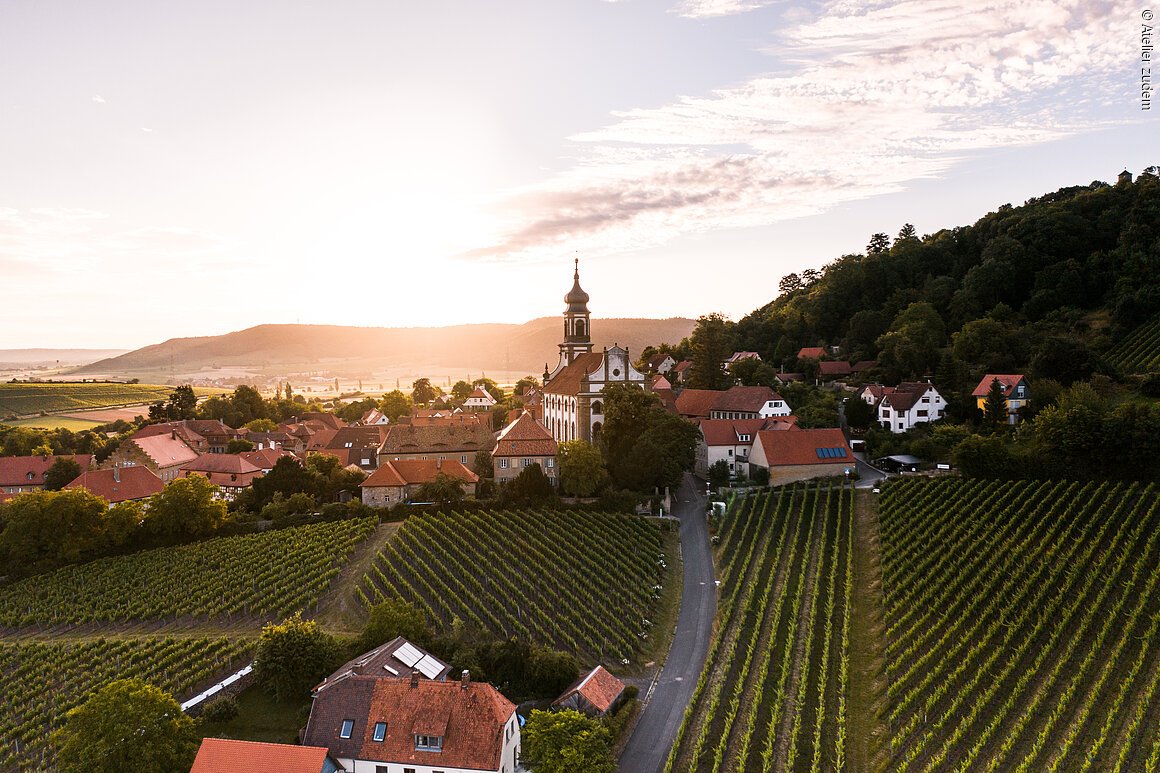 Blick auf die Weinberge (Castell, Steigerwald)