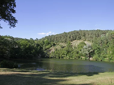 Frickenhäuser See (Mellrichstadt, Rhön)