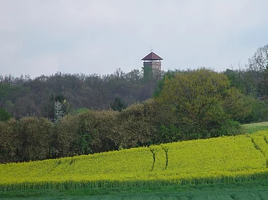 Blick zum Vestner Turm (Zirndorf, Romantisches Franken)