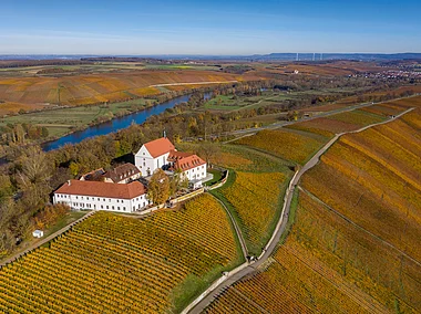 Herbststimmung an der Vogelsburg (Volkach/Fränkisches Weinland)