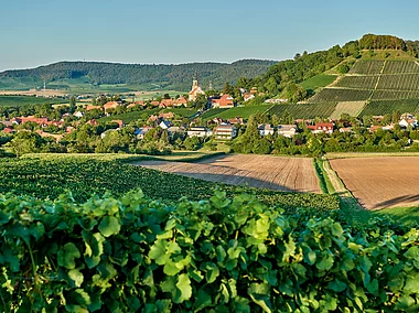 Ausblick auf Castell (Castell/Steigerwald)