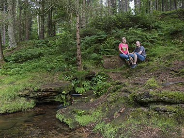 Elsavaquelle (Mespelbrunn, Spessart-Mainland)