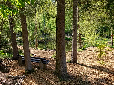 Waldsee (Rüdenau, Spessart-Mainland)