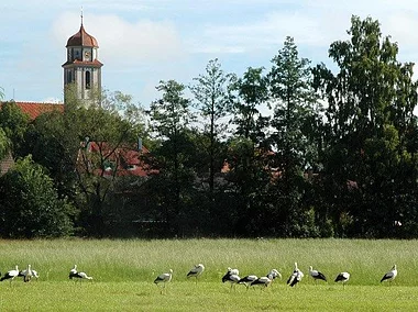 Idylle (Bechhofen, Fränkisches Seenland)