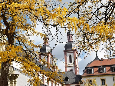 Kloster Oberzell (Zell a.Main, Fränkisches Weinland)