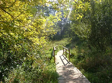 Grüne Wege zum Radeln und Wandern (Stein, Romantisches Franken)