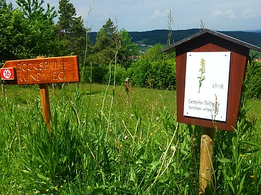 Botanischer Lehrpfad (Königstein, Nürnberger Land)