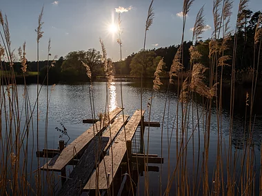 Abendstimmung (Adelsdorf, Steigerwald)