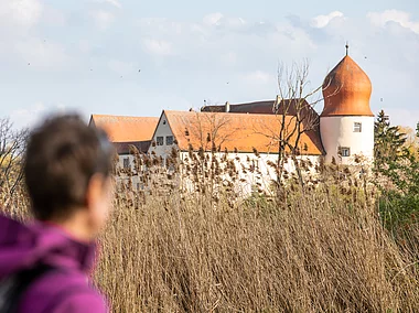 Schloss Neuhaus (Adelsdorf, Steigerwald)