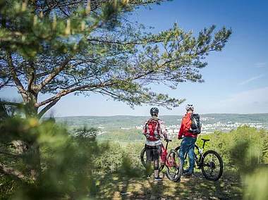 Blick auf die Stadt (Treuchtlingen, Naturpark Altmühltal)