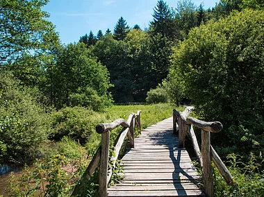 Bohlensteg im Hafenlohrtal (bei Rothenbuch, Spessart-Mainland)