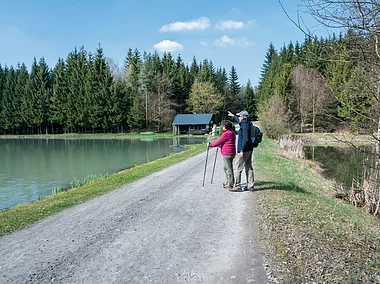 Wandern (Regnitzlosau, Fichtelgebirge)