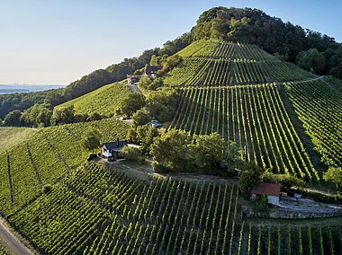 Stollberg (Oberschwarzach, Steigerwald)