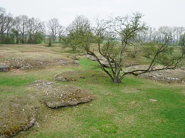 Gipshügel (Sulzheim, Steigerwald)