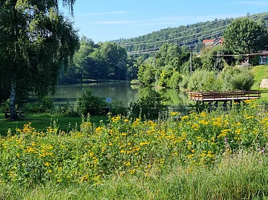 Landschaftssee (Neuhütten, Spessart-Mainland)