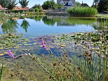 Eichenhauser See (Wülfershausen, Haßberge)