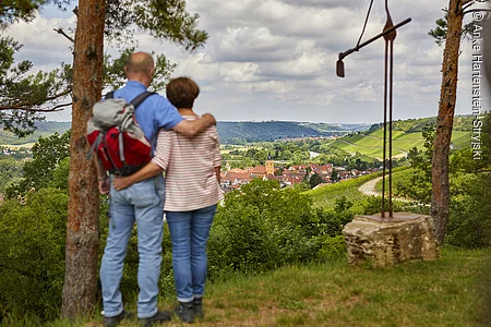 Sommerhausen, Fränkisches Weinland