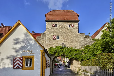 Sommerhausen, Fränkisches Weinland