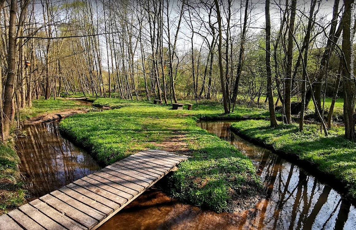 Wassertretbecken (Schönbrunnn i.Steigerwald)