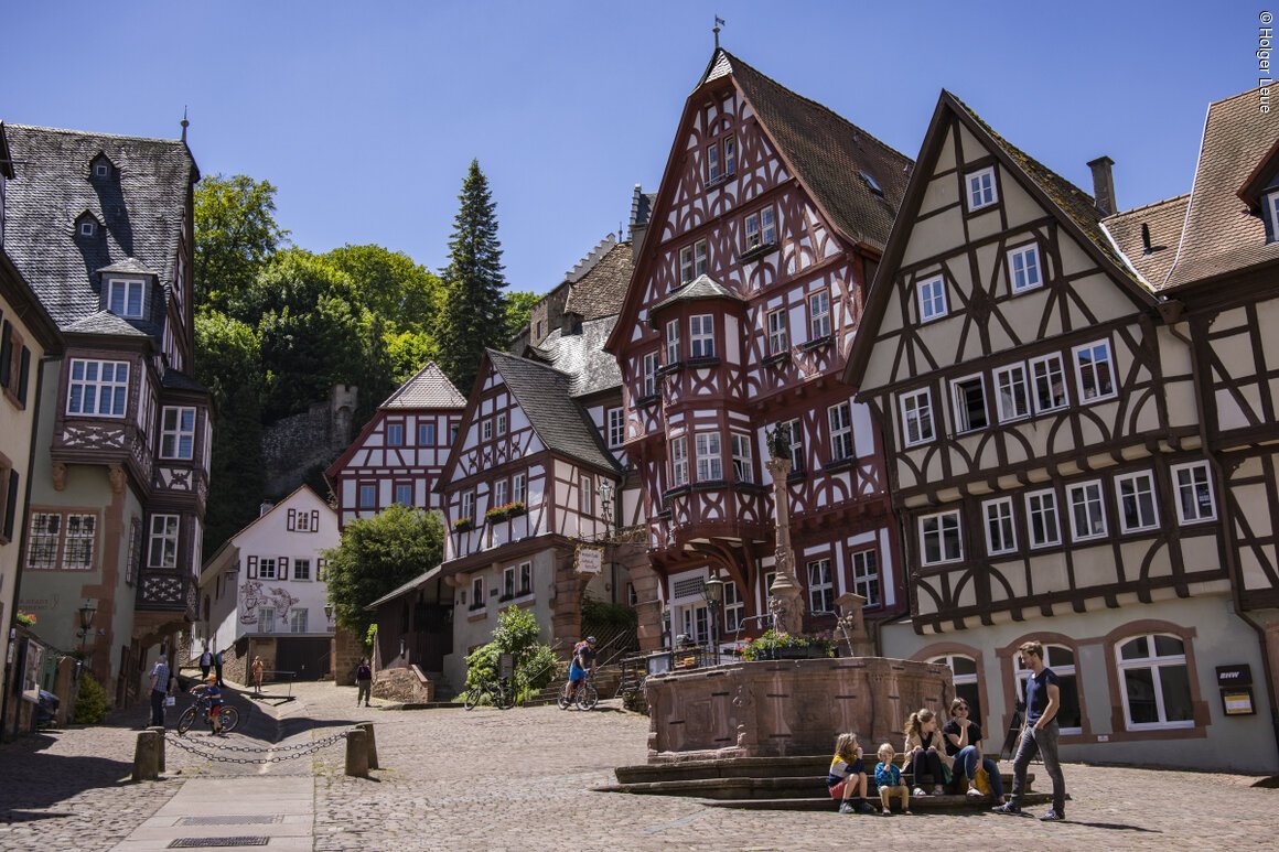 Marktplatz (Miltenberg, Spessart-Mainland)