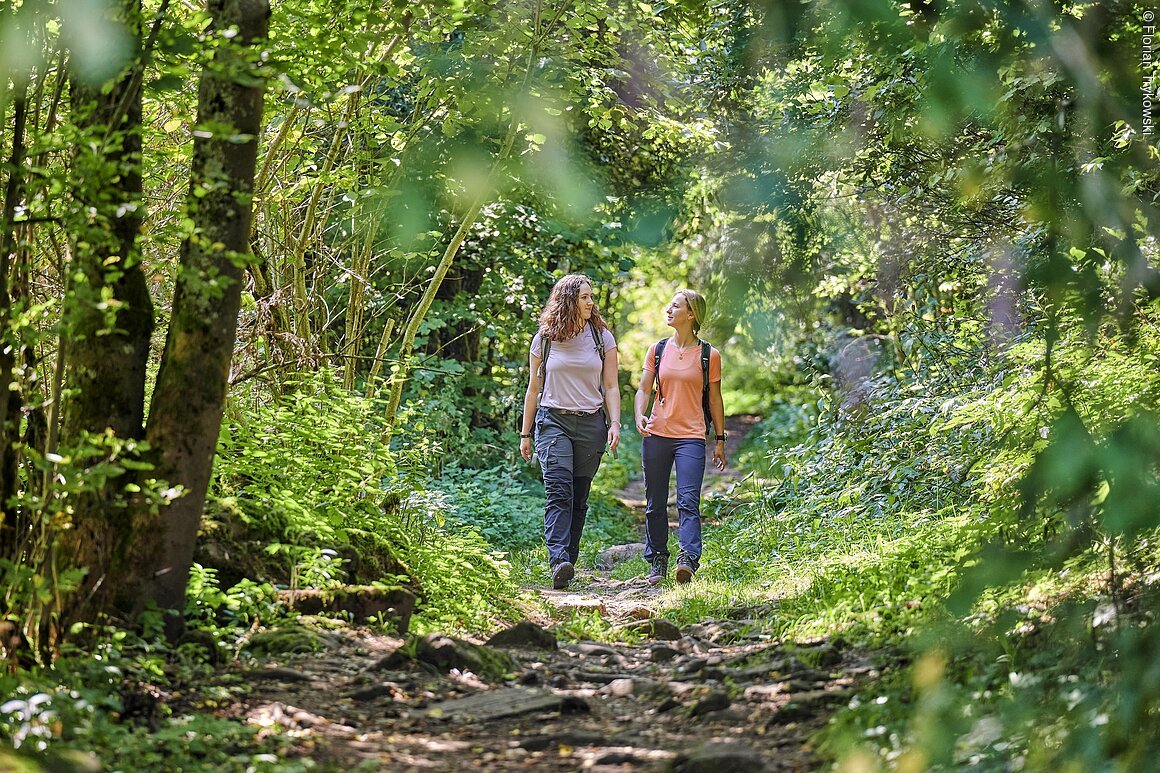 Wandern ohne Gepäck (Rhön)