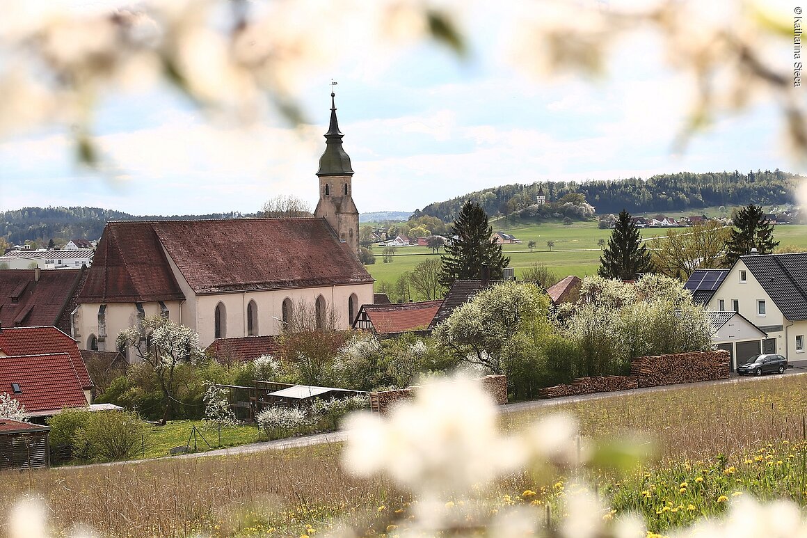 Blick auf Kloster und Wehrkirche (Dombühl, Romantisches Franken)